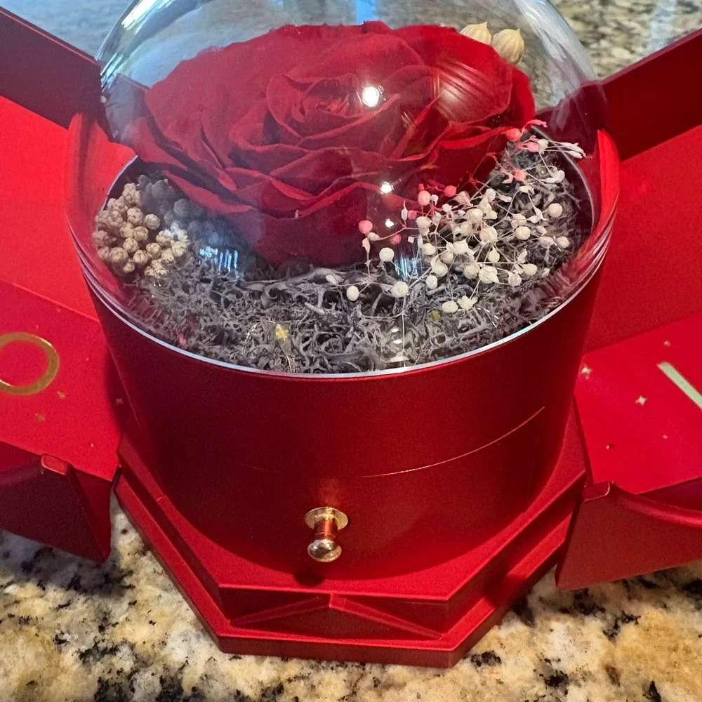 🌹Preserved Lighted Rose Box with Necklace